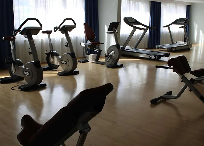 파크 인 바이 래디슨 4* 린츠